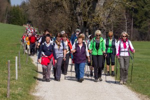 pilgern im Salzburger Land, Voroesterliche Pilgerwanderung von Heiligenstatt/ Lengau über Gebertsham bis Seeham, 2012-04-03; Foto: Chris Hofer; Bild zeigt: am Forstweg bei Zellhof bei Mattsee