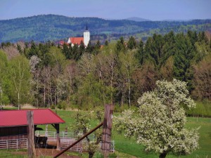 Gemeindebilder Eging am See