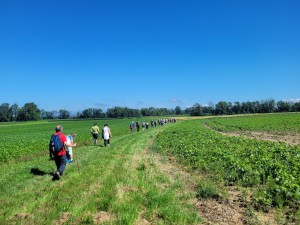 Pilgerwanderung und Pilgermesse im memoriam August Vorauer