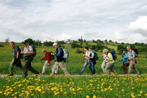 Bilder Pilgerweg