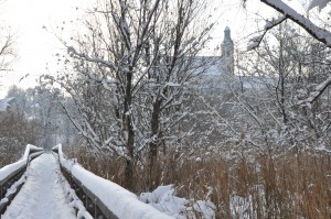 Gemeindebilder Reichersberg, Innauen im Winter