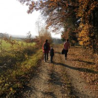 Gemeindebilder Aicha vorm Wald