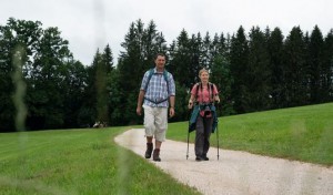 © SalzburgerLand Tourismus GmbH – Pilgern im Wenger Moor am Wallersee.JPG