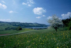 Gemeindebilder Lochen